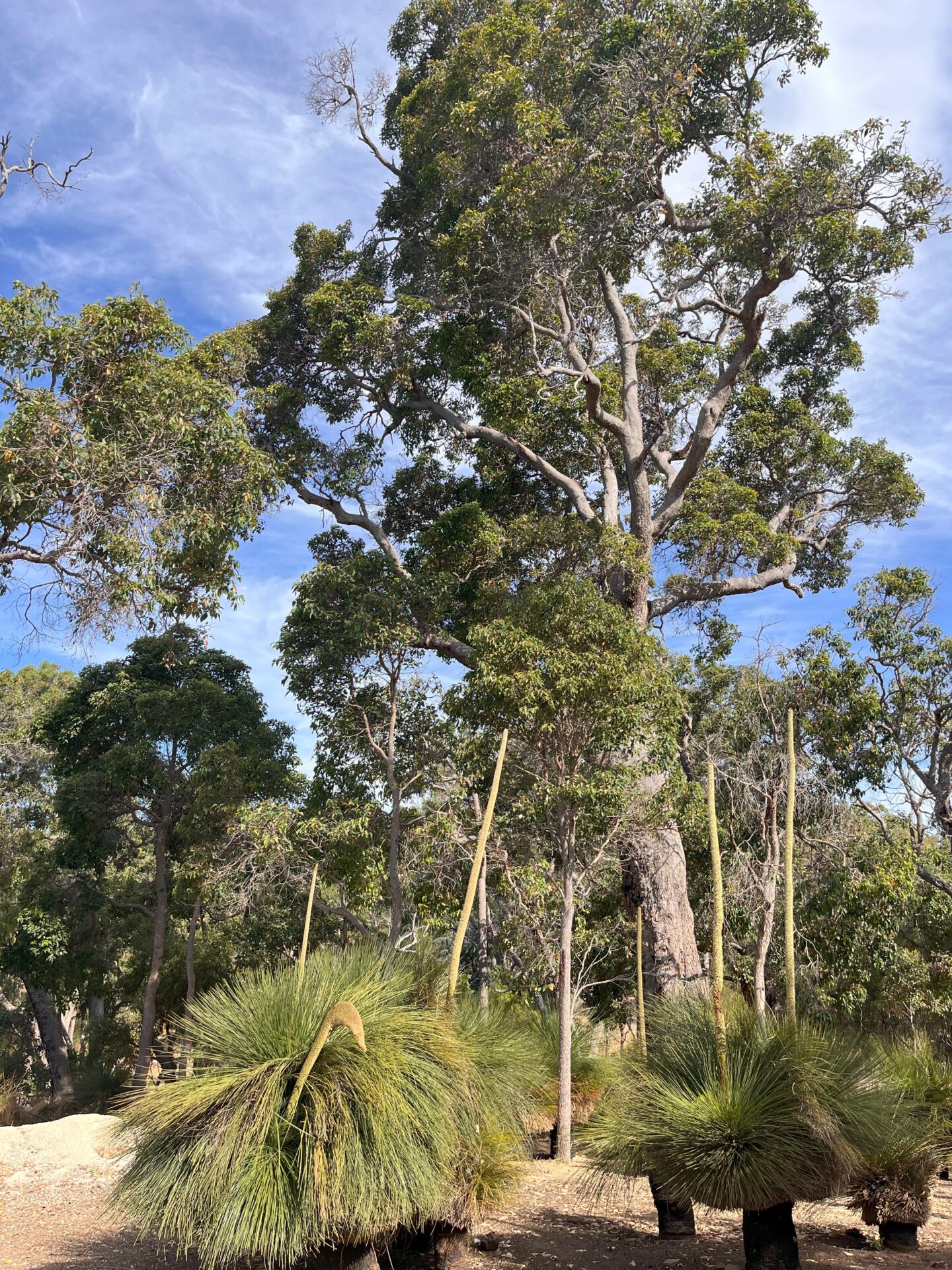 Meelup Farmhouse (Margaret River region)