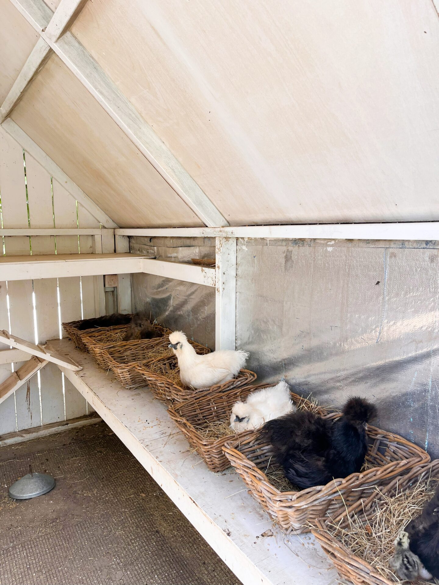 Meelup Farmhouse (Margaret River region)