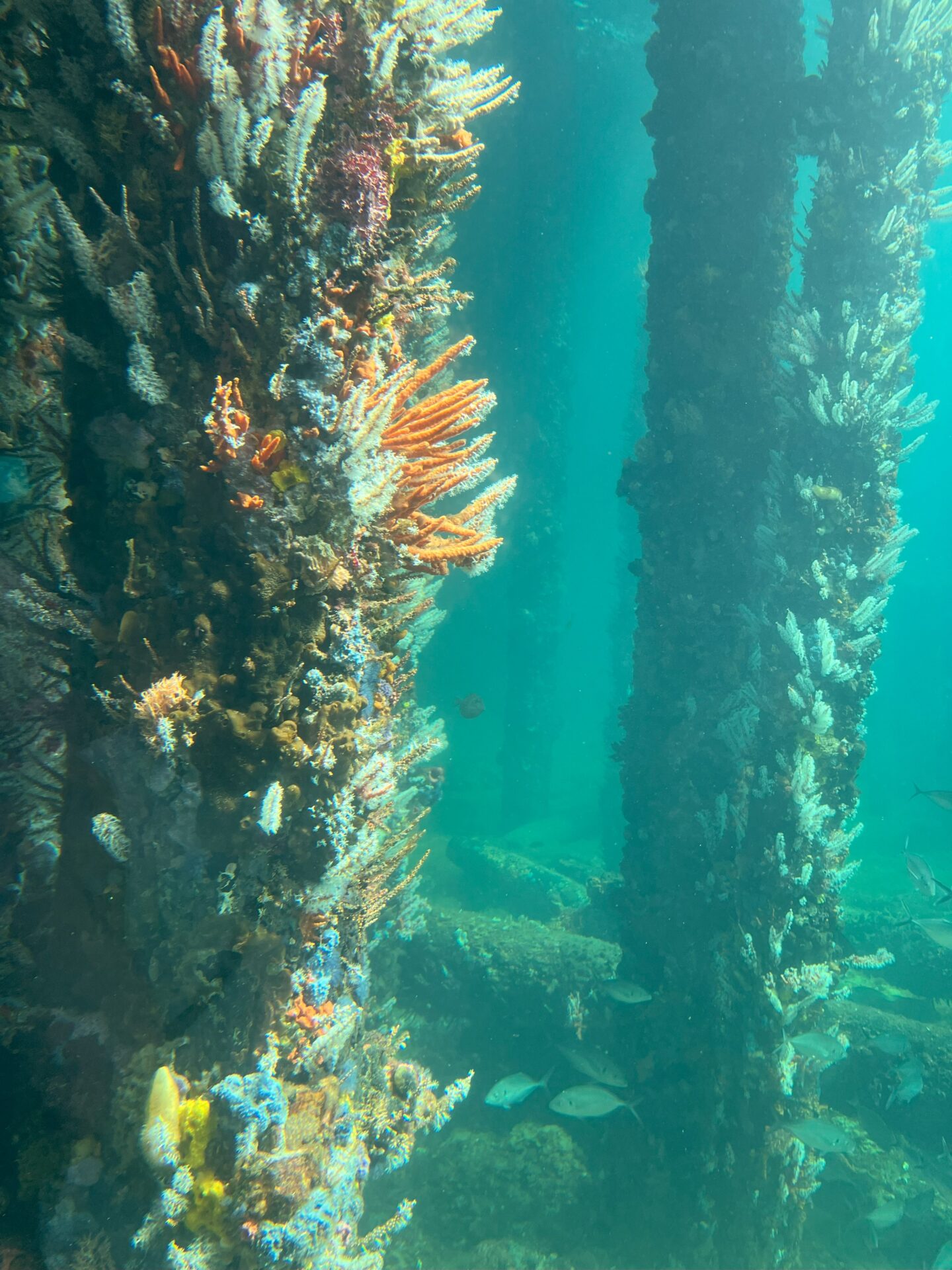 Busselton Jetty