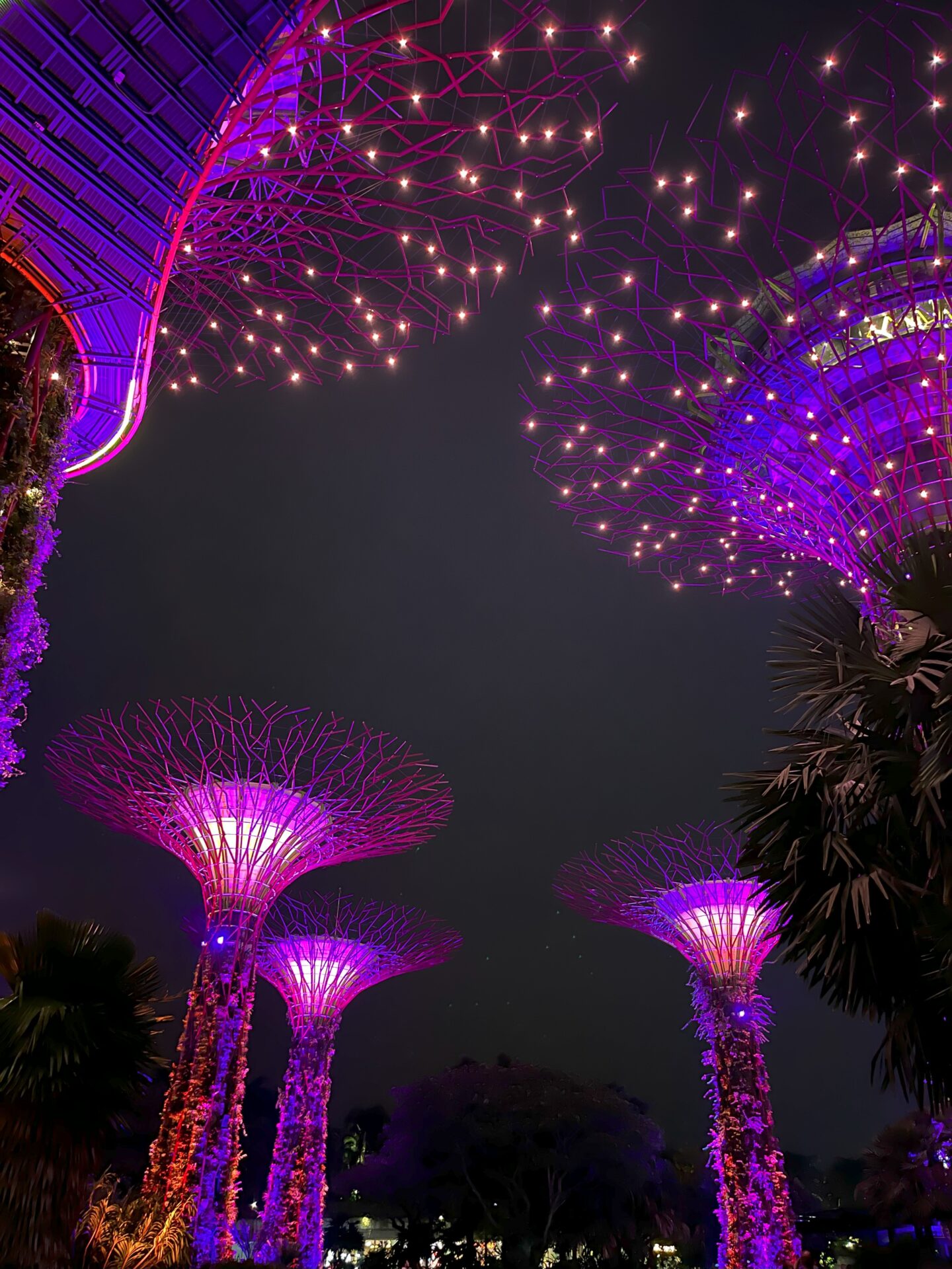 Gardens by the Bay