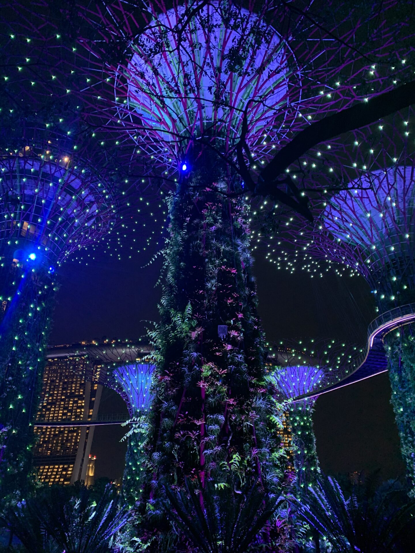 Gardens by the Bay