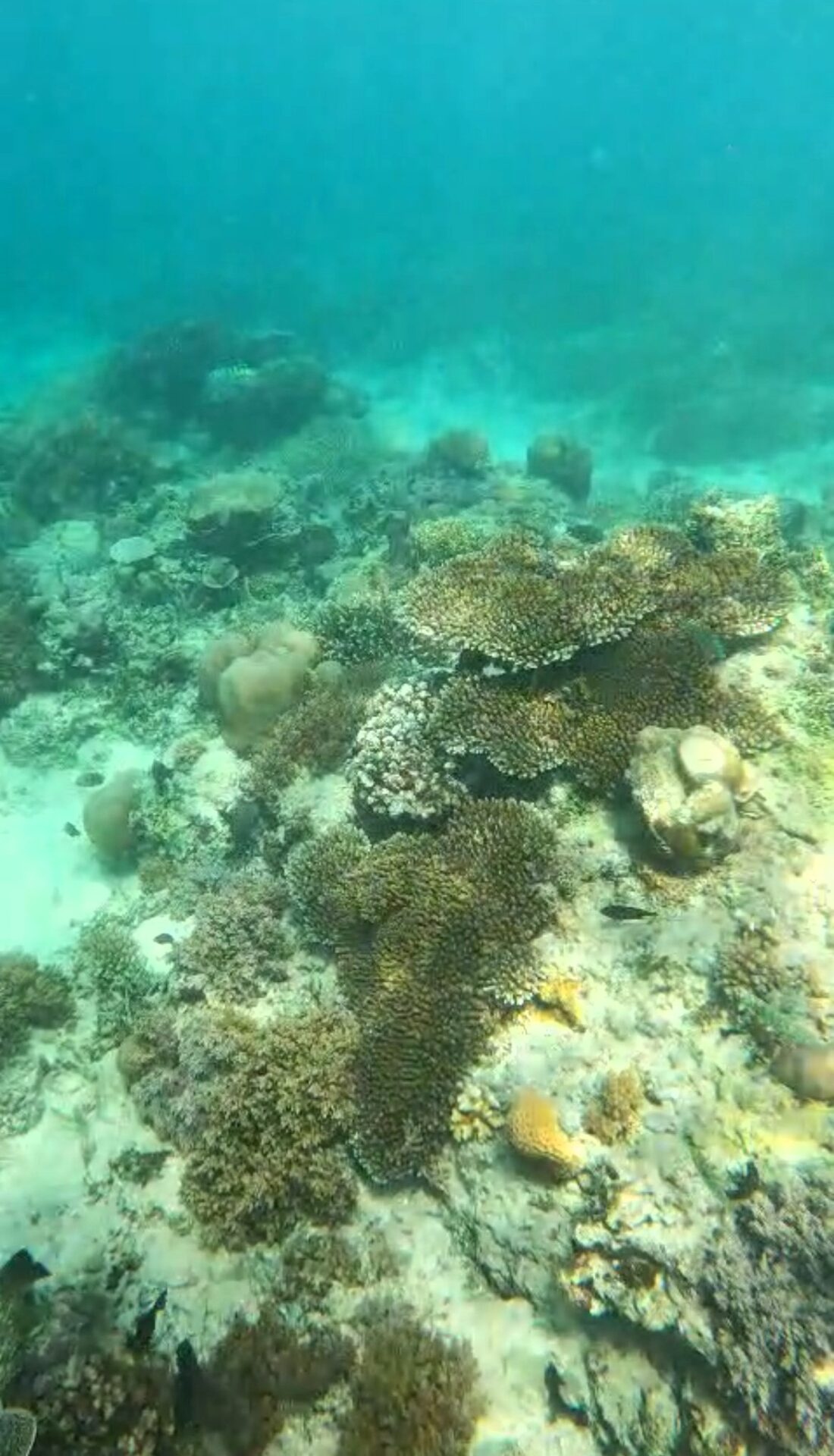 things to do in Gili Air