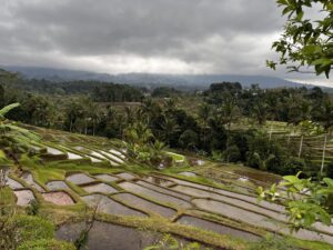 O que fazer em Bali – visita a Ubud