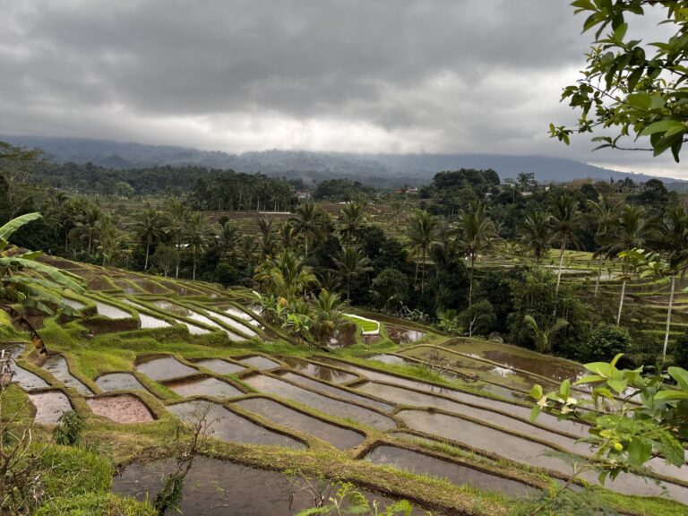 O que fazer em Bali – visita a Ubud