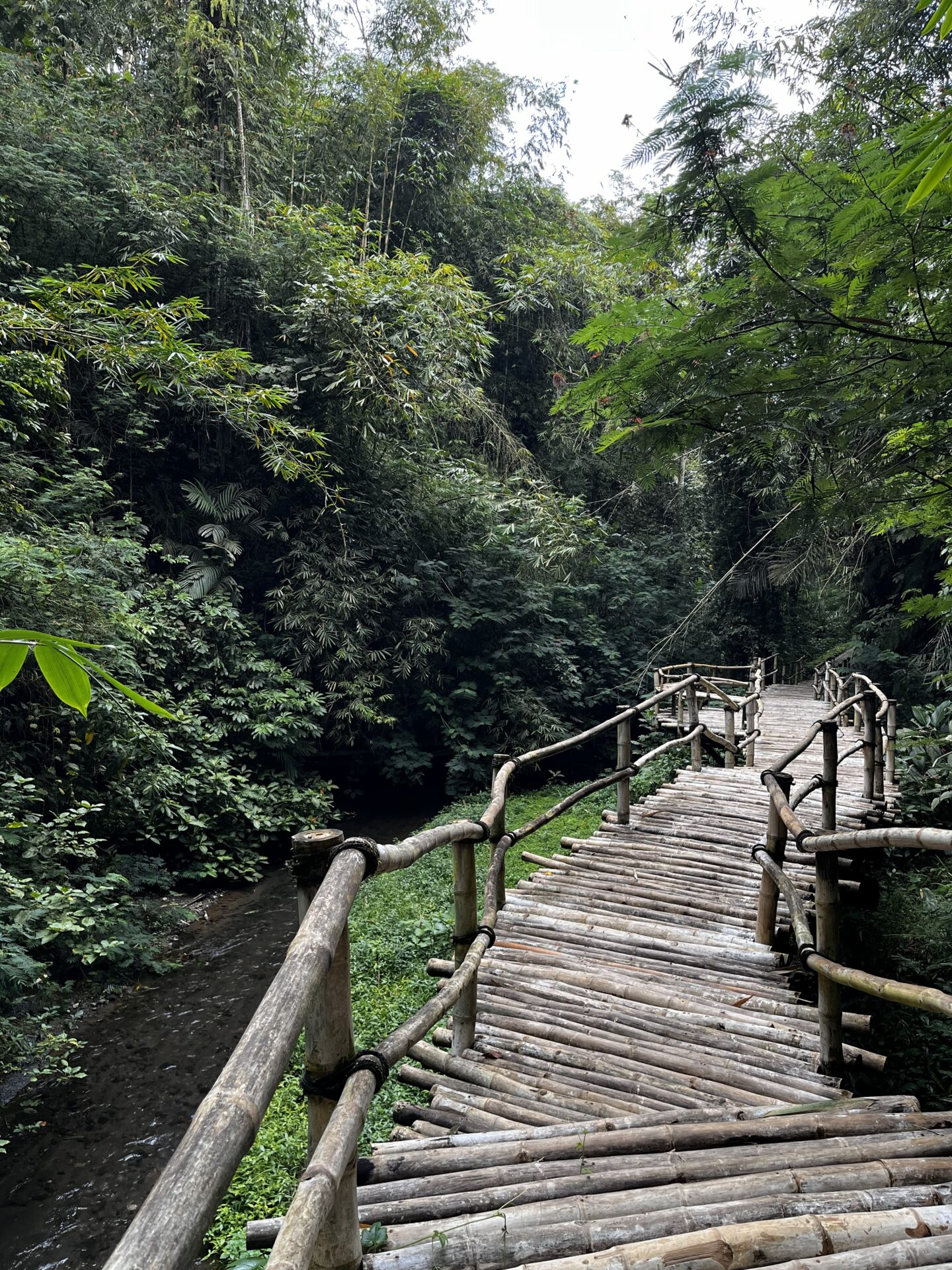Onde ficar em Ubud  - dicas de alojamentos