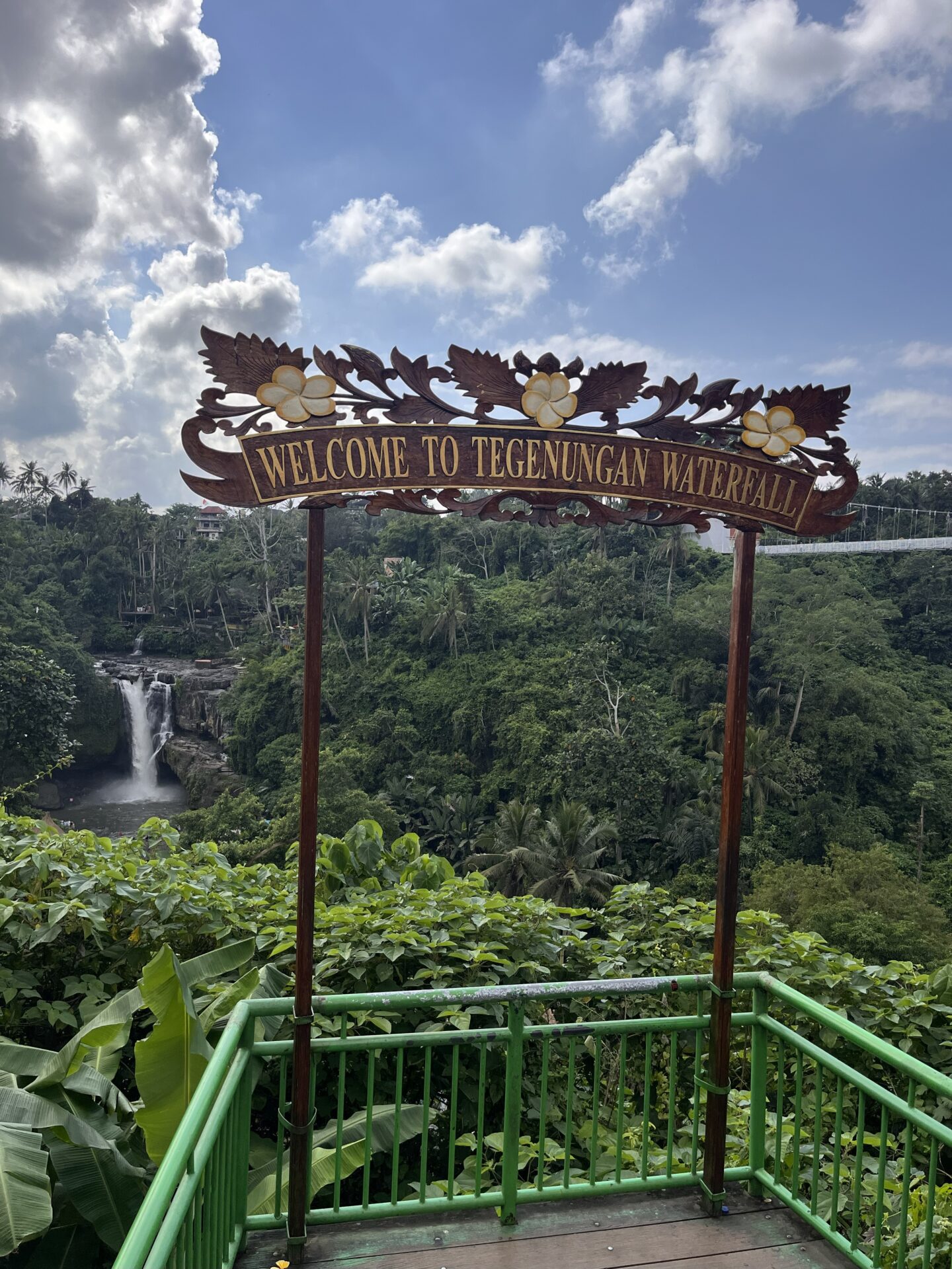 O que fazer em Bali – visita a Ubud