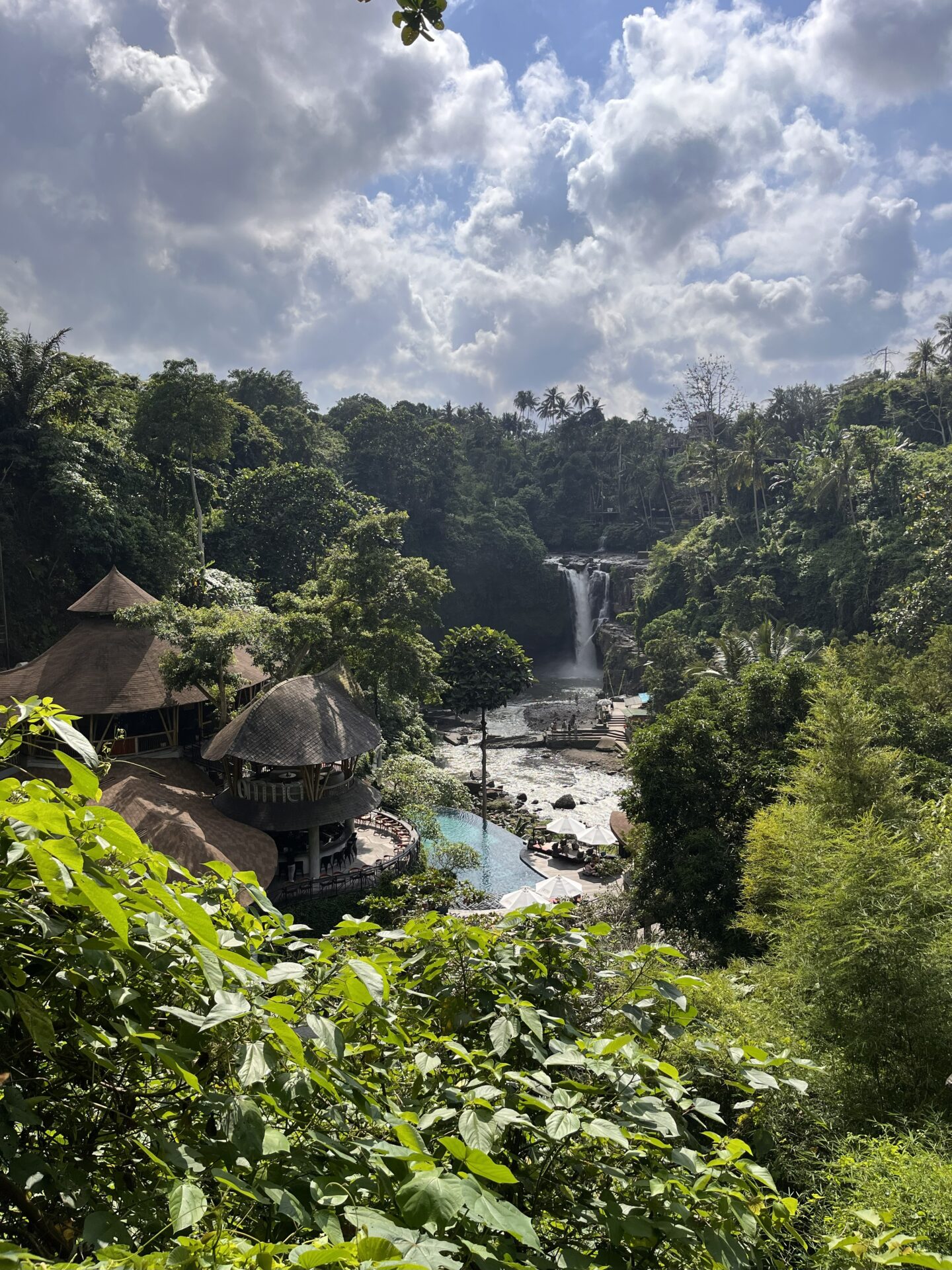 O que fazer em Bali – visita a Ubud
