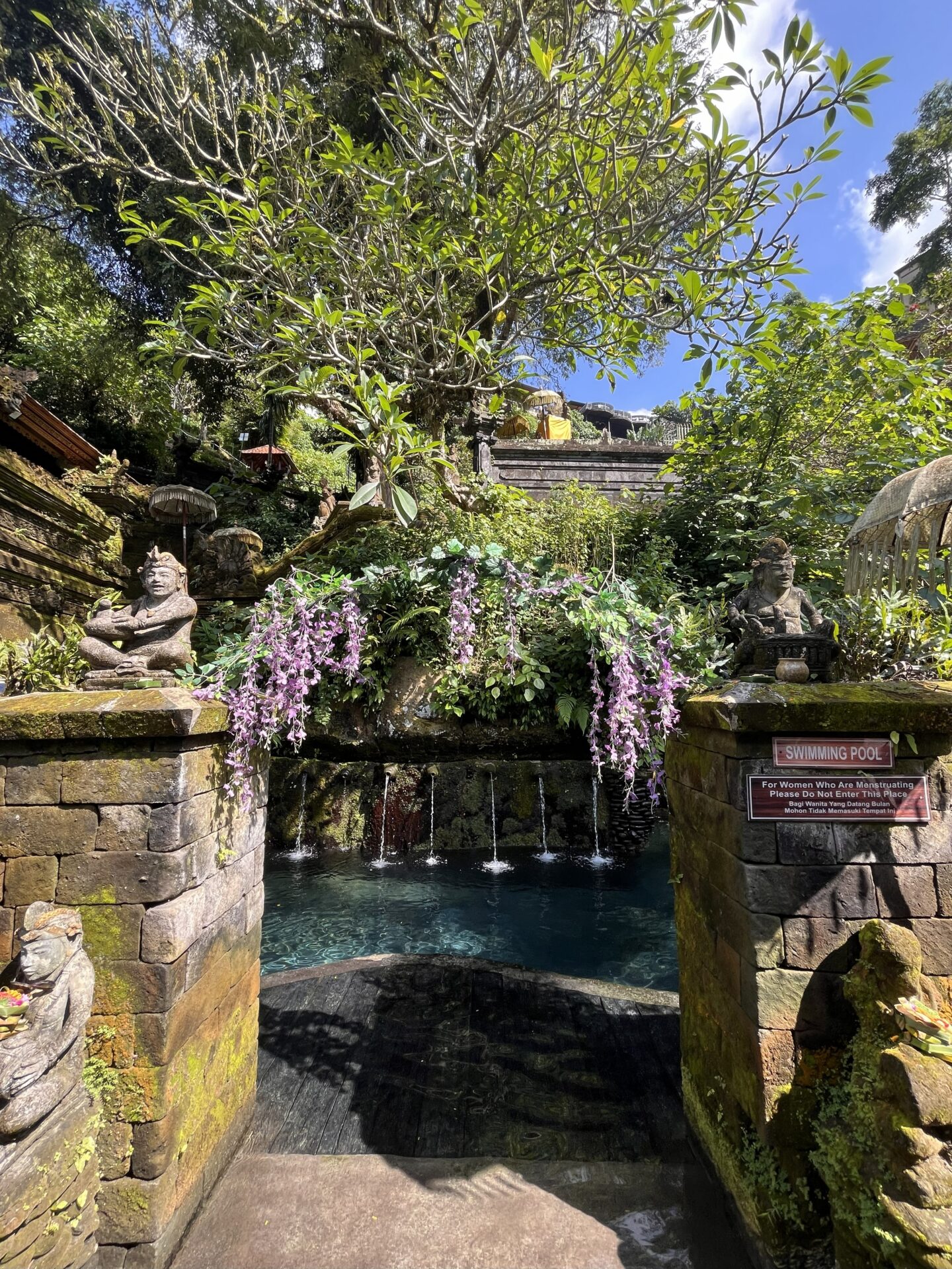 O que fazer em Bali – visita a Ubud