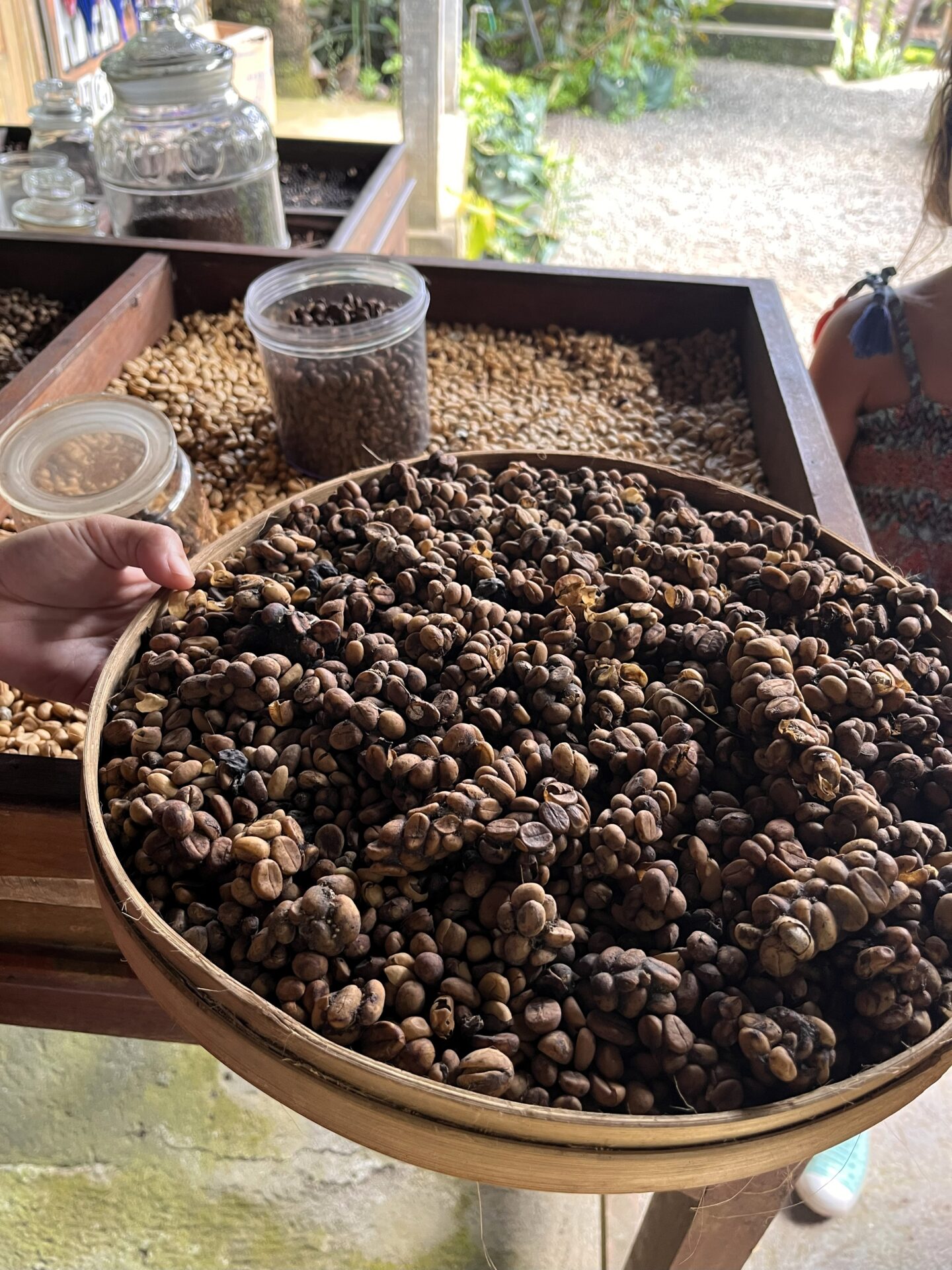 O que fazer em Bali – visita a Ubud