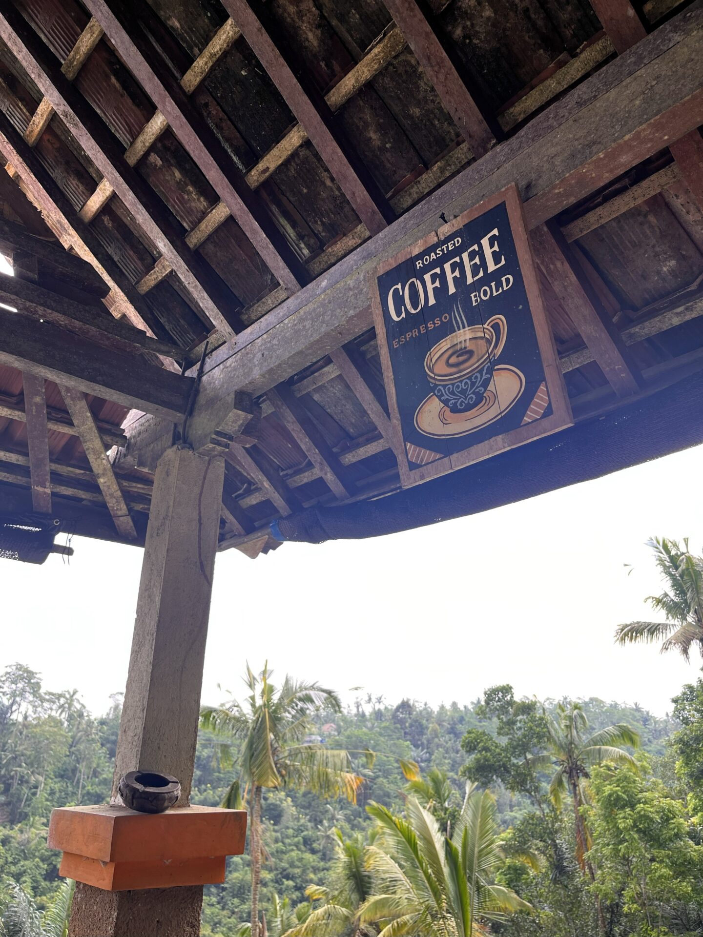 O que fazer em Bali – visita a Ubud