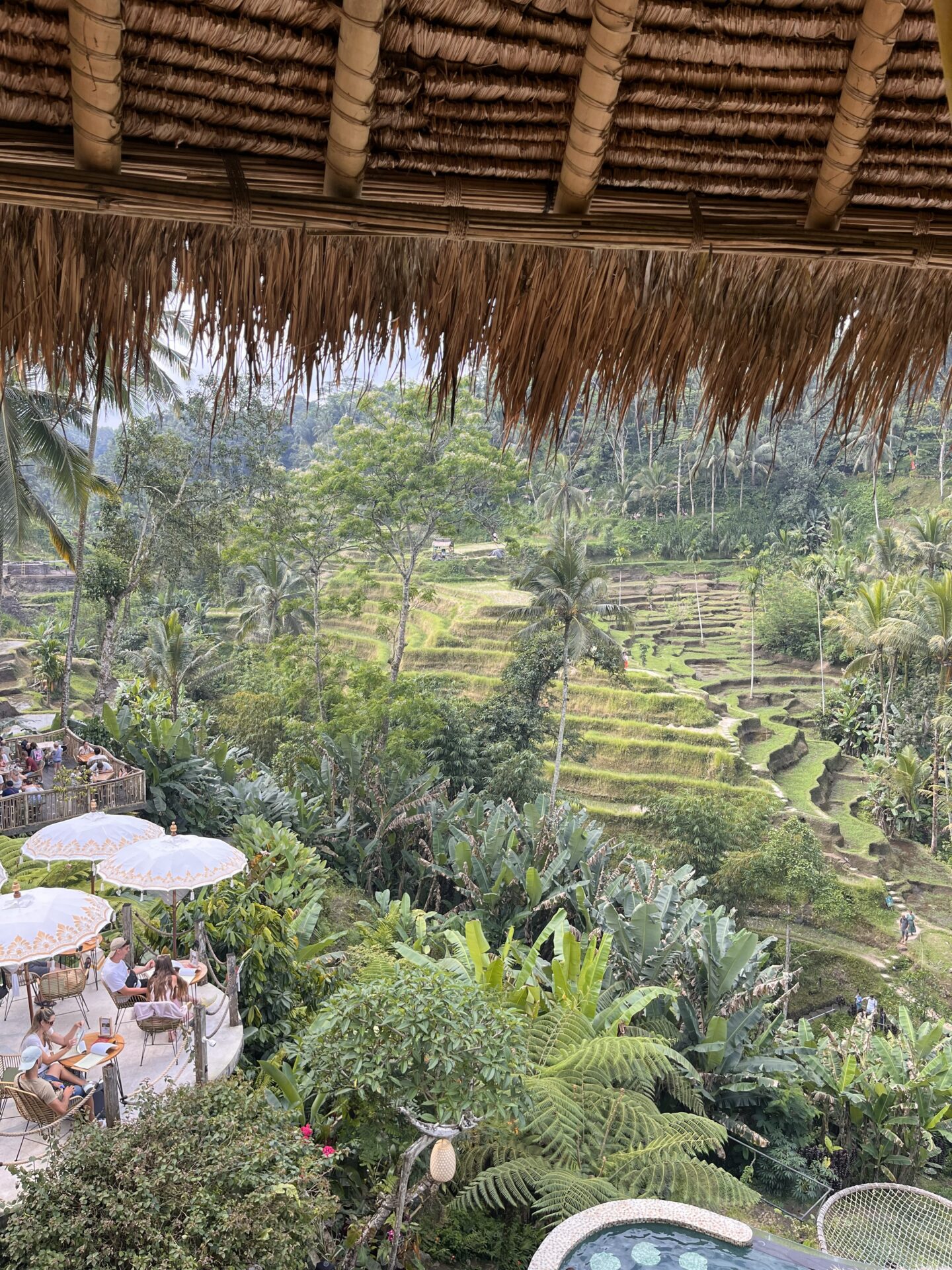 O que fazer em Bali – visita a Ubud