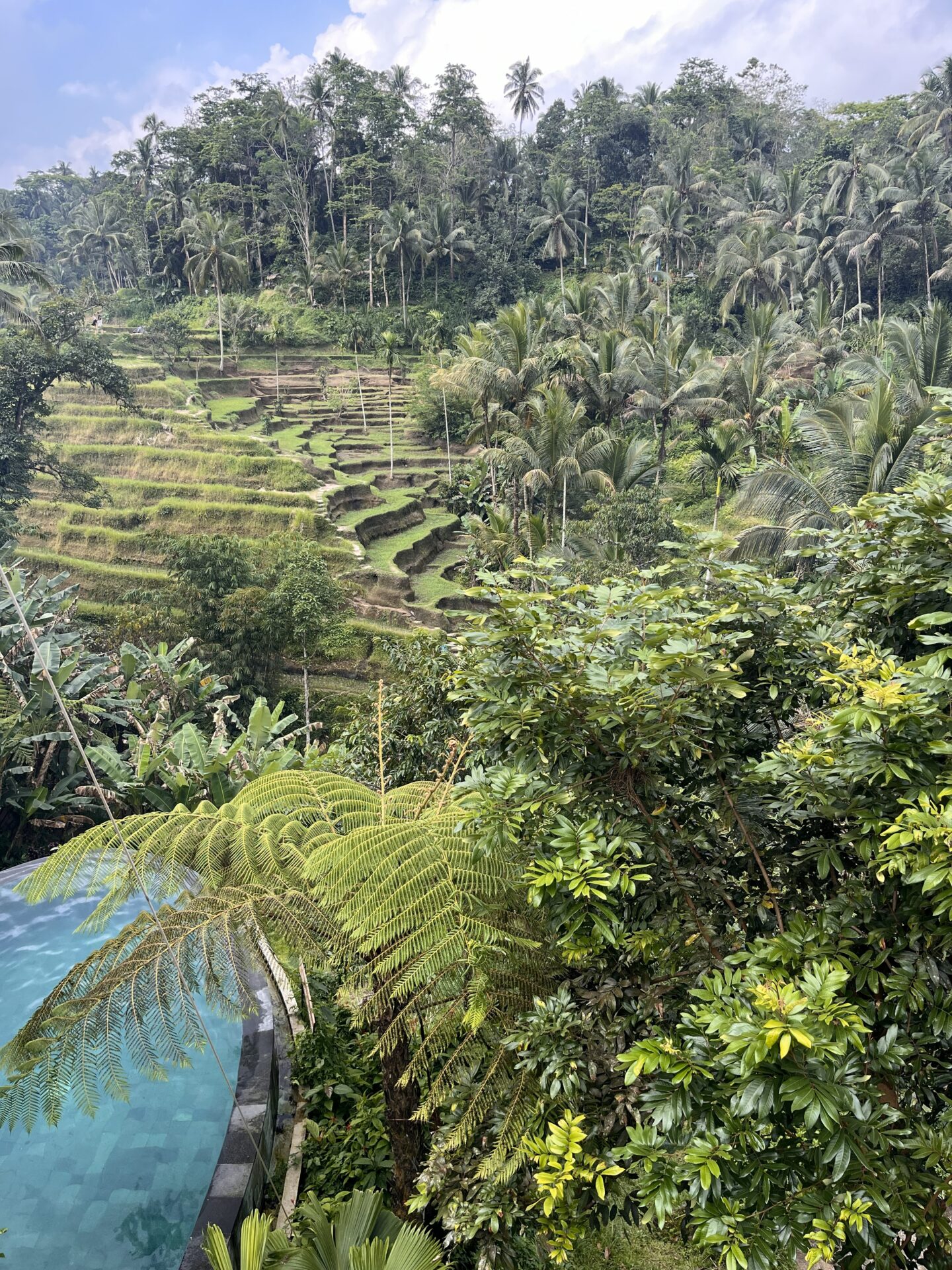 O que fazer em Bali – visita a Ubud