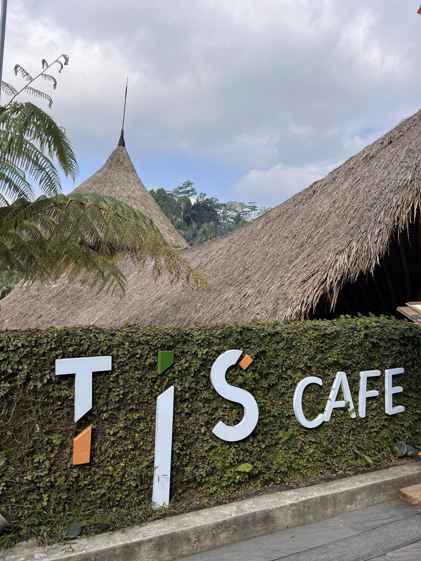 O que fazer em Bali – visita a Ubud