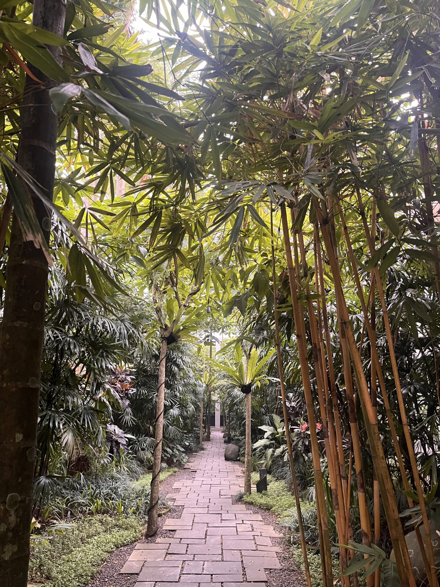 Onde ficar em Ubud  - dicas de alojamentos