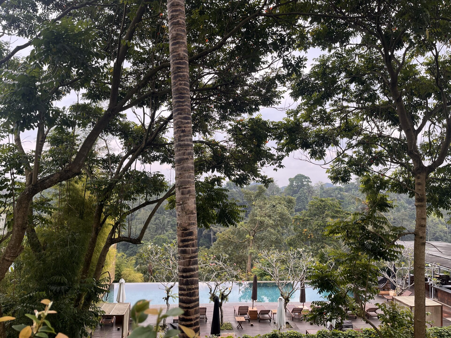 Onde ficar em Ubud  - dicas de alojamentos