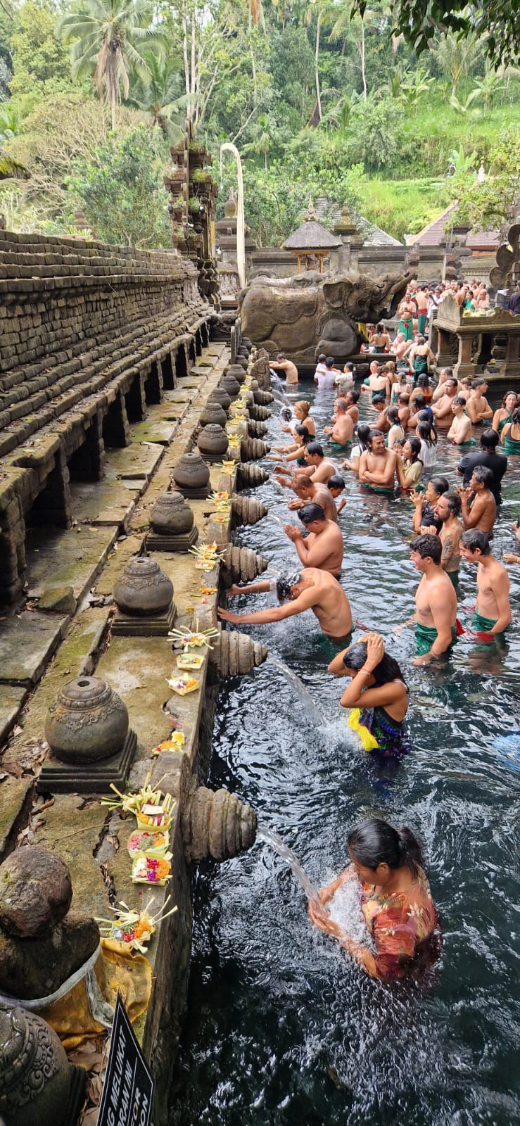 O que fazer em Bali – visita a Ubud