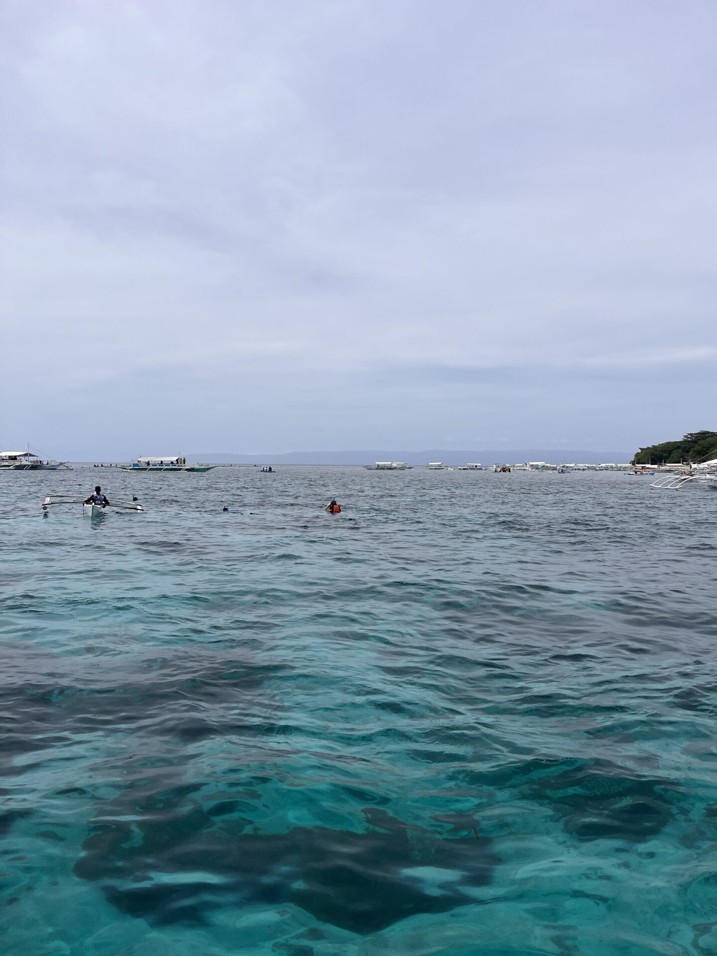 O que fazer em Bohol