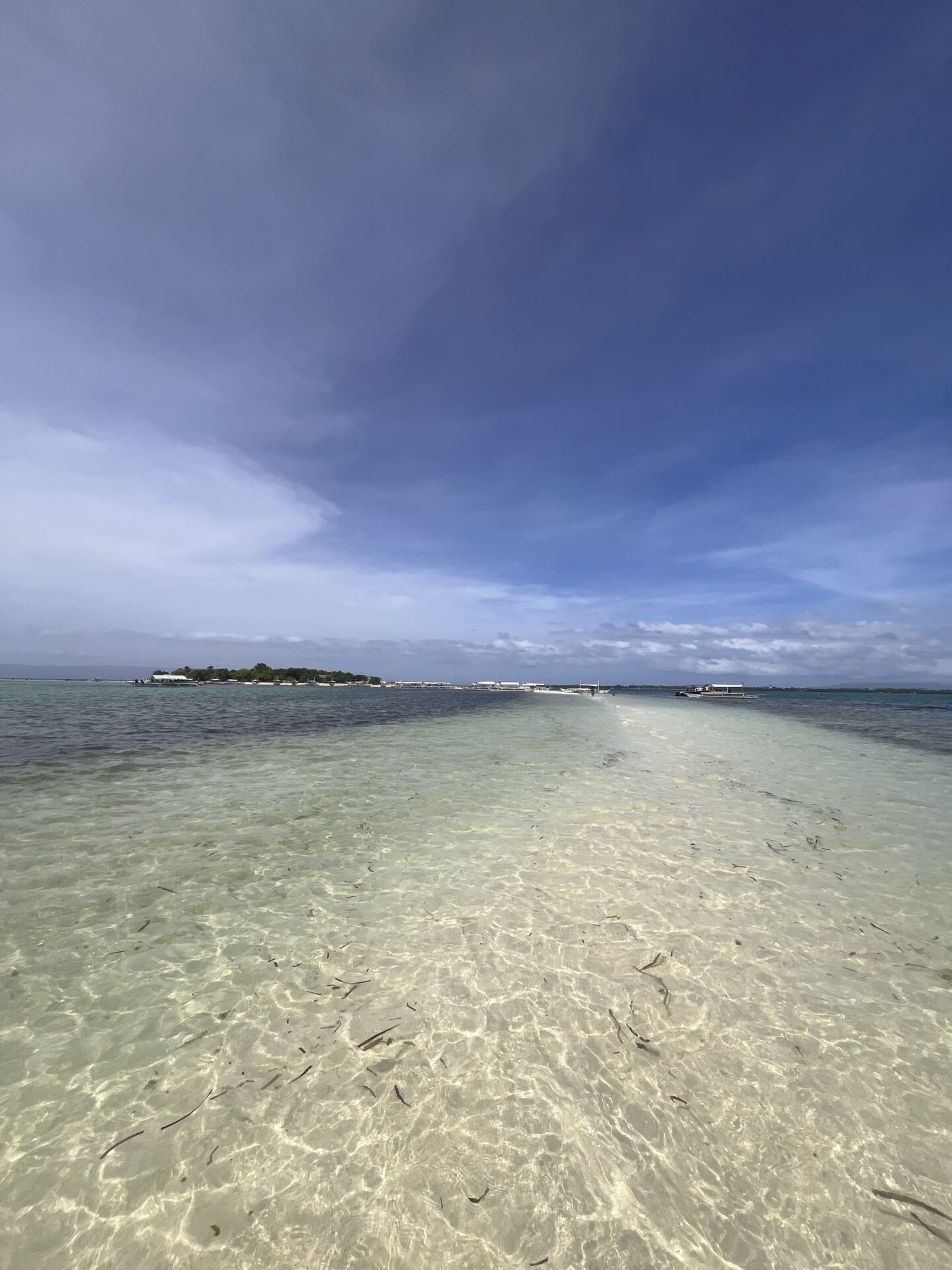 O que fazer em Bohol