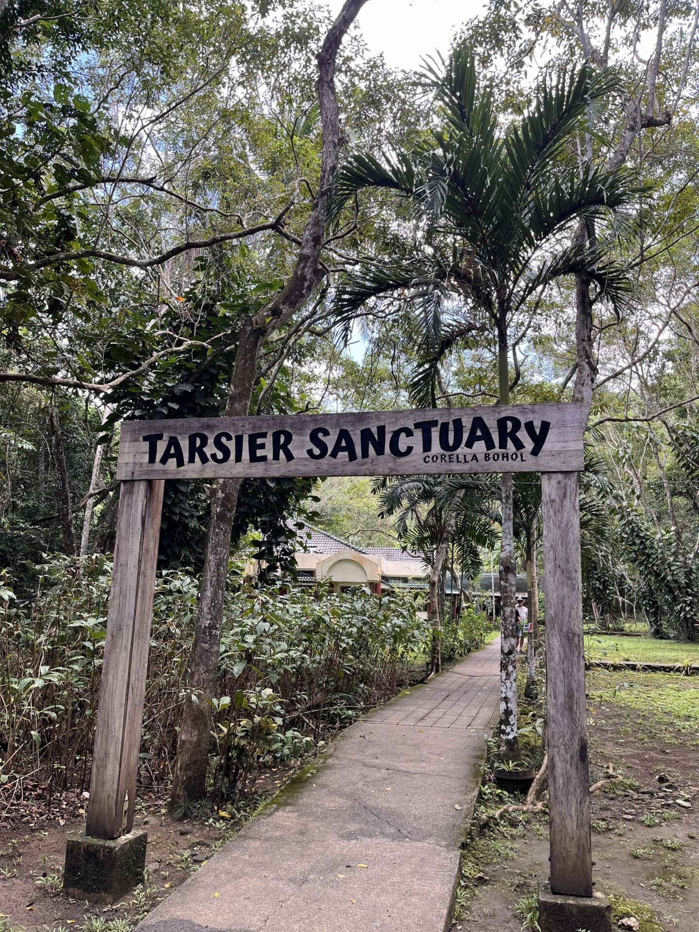 O que fazer em Bohol