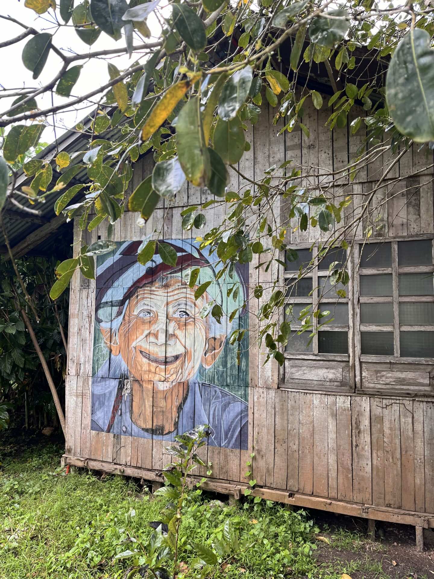 O que fazer em Bohol